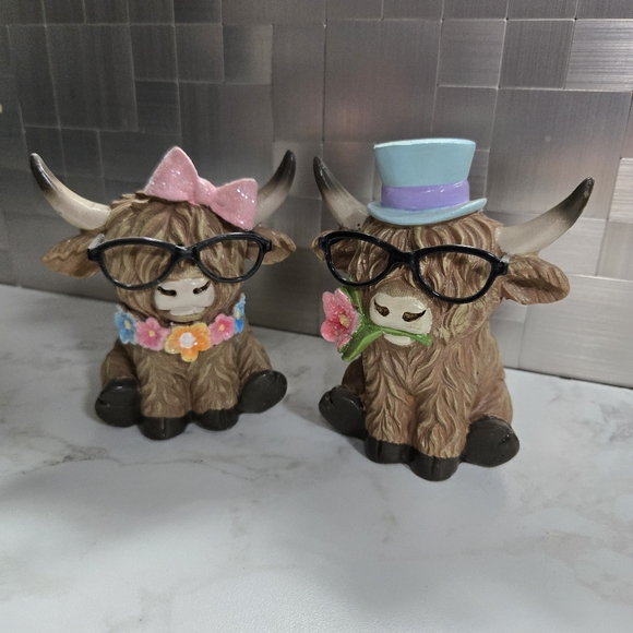 Highland Spring Cows - Picture 1 of 2